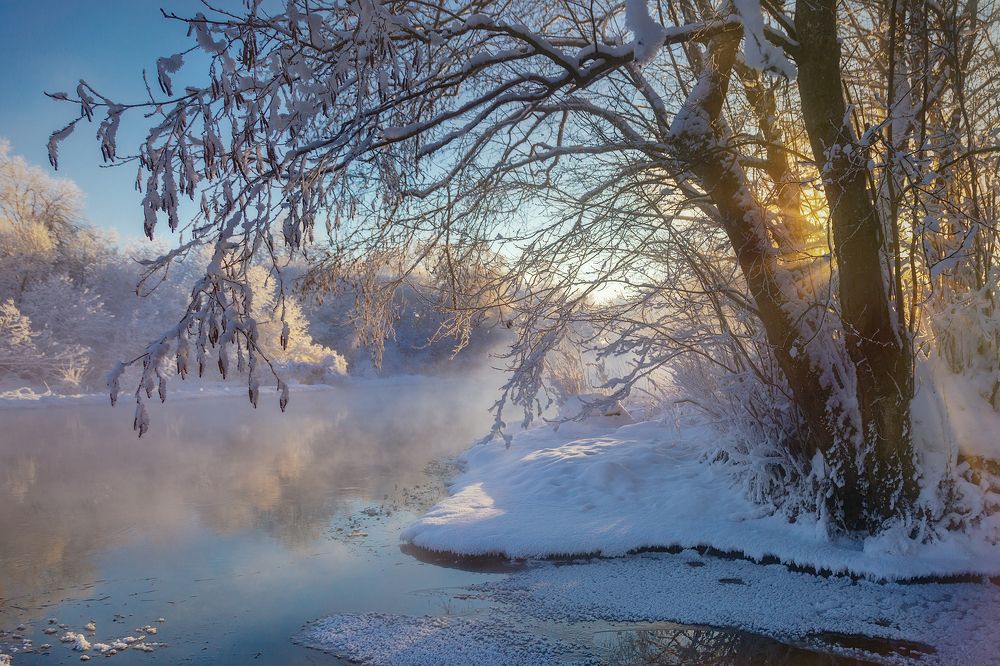Утро на реке