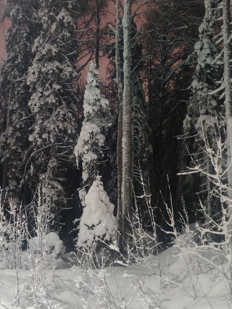 Новогодняя ночь