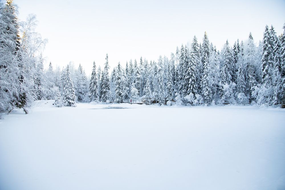 Photograph by Alena Poklonskaia