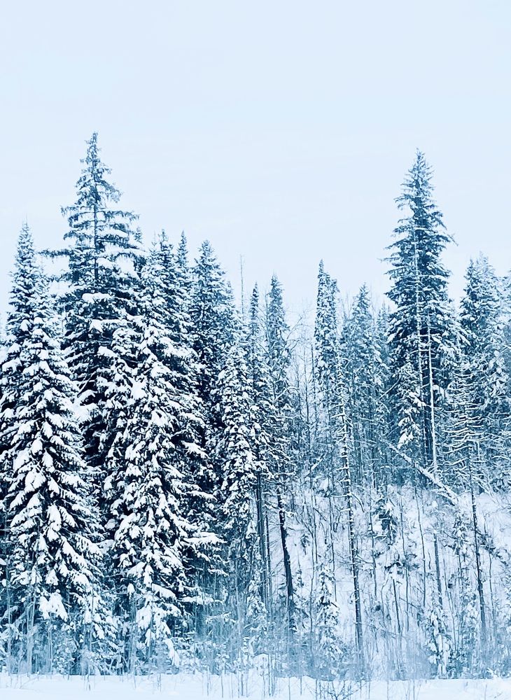 Фотография автора Рамзия Хисамутдинова