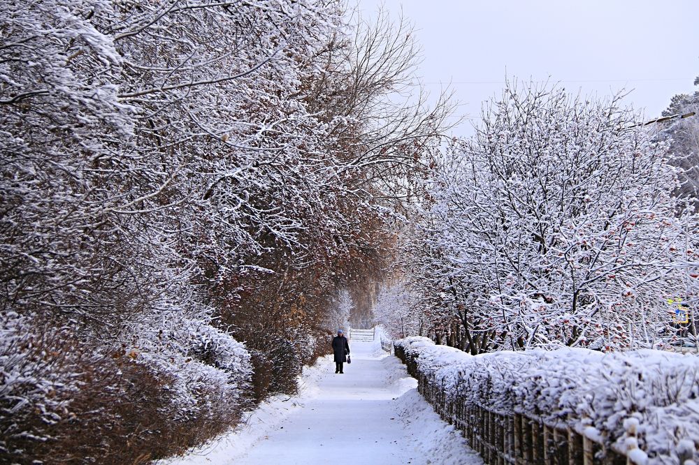 Photograph by эдуард петруша