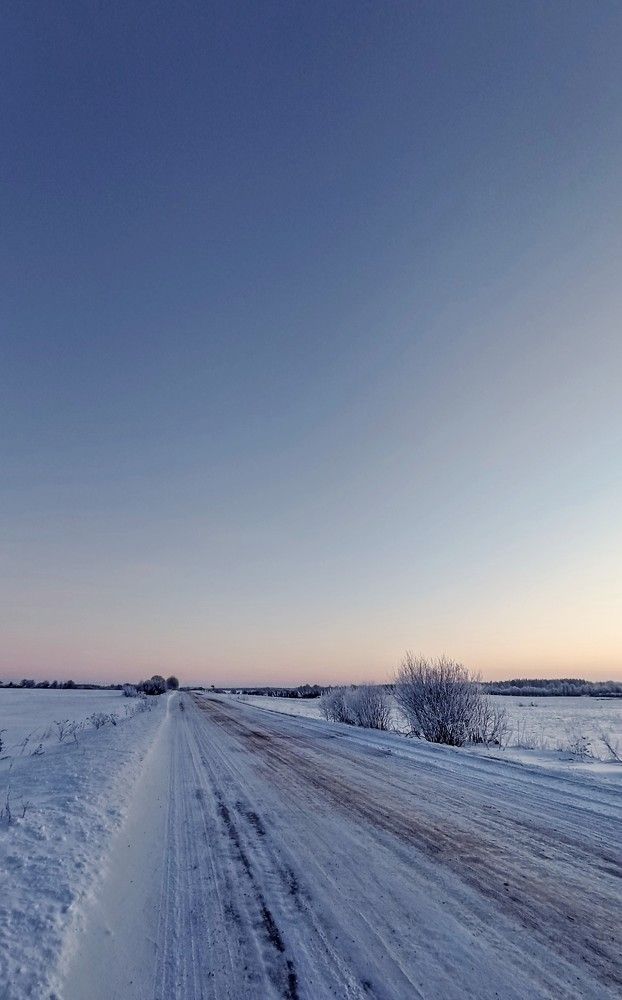 Photo #10166589