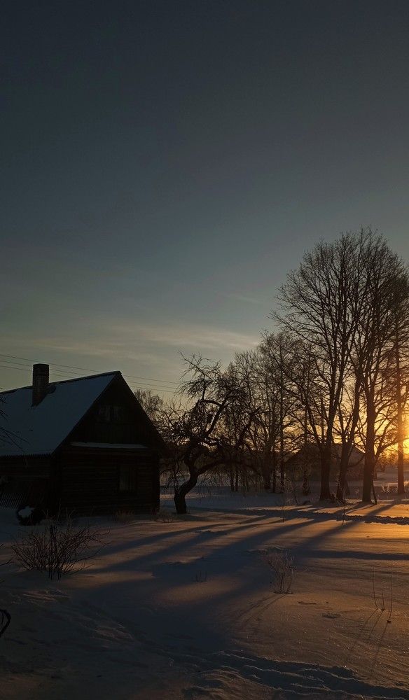Photo #10166616