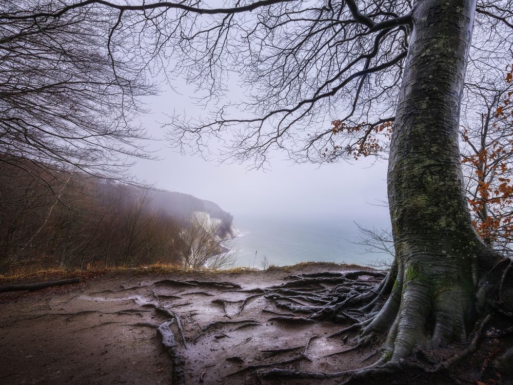 Photograph by Михаил Козлов