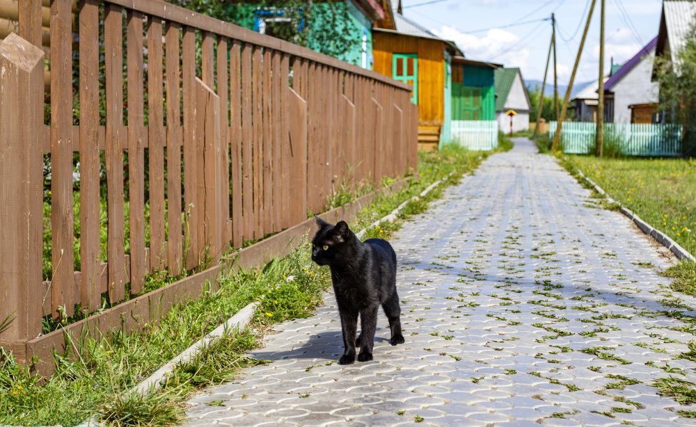 Photograph by Татьяна Раковская
