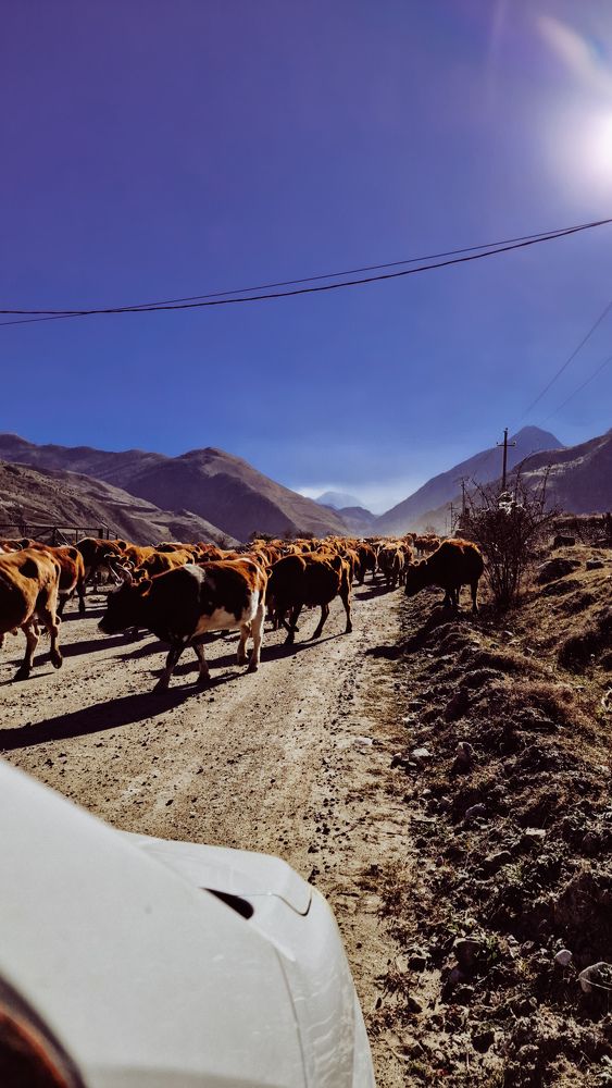 Фотография автора Всеволод Юрша