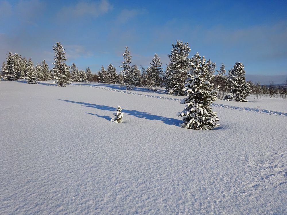 Фотография автора Наталья Василькова