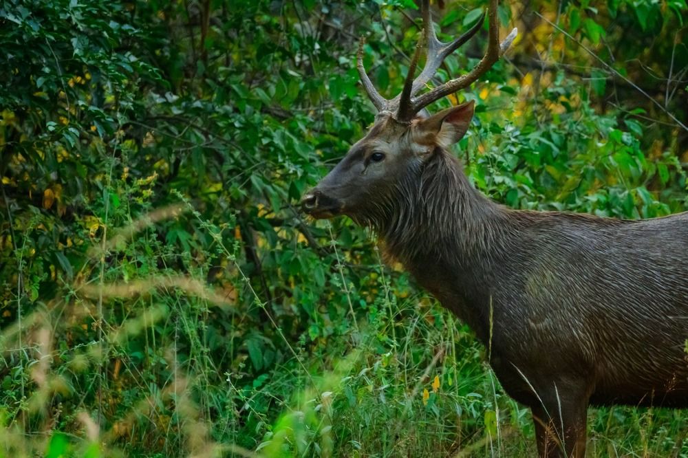 Photograph by Sahu Inc.