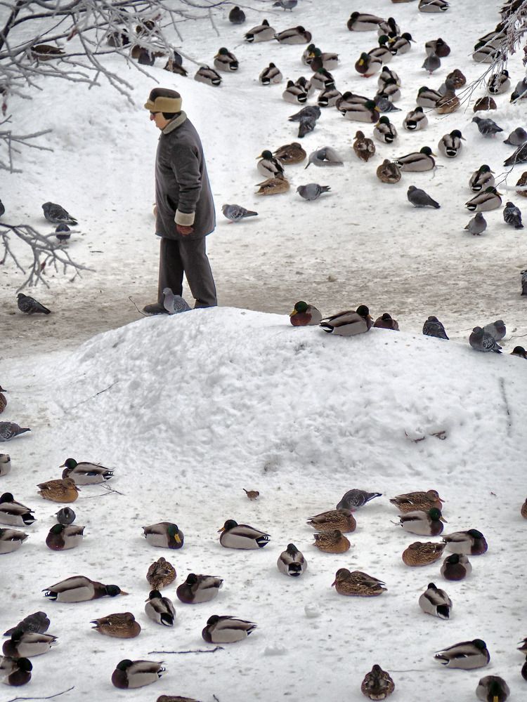 Photograph by Надежда Васильева