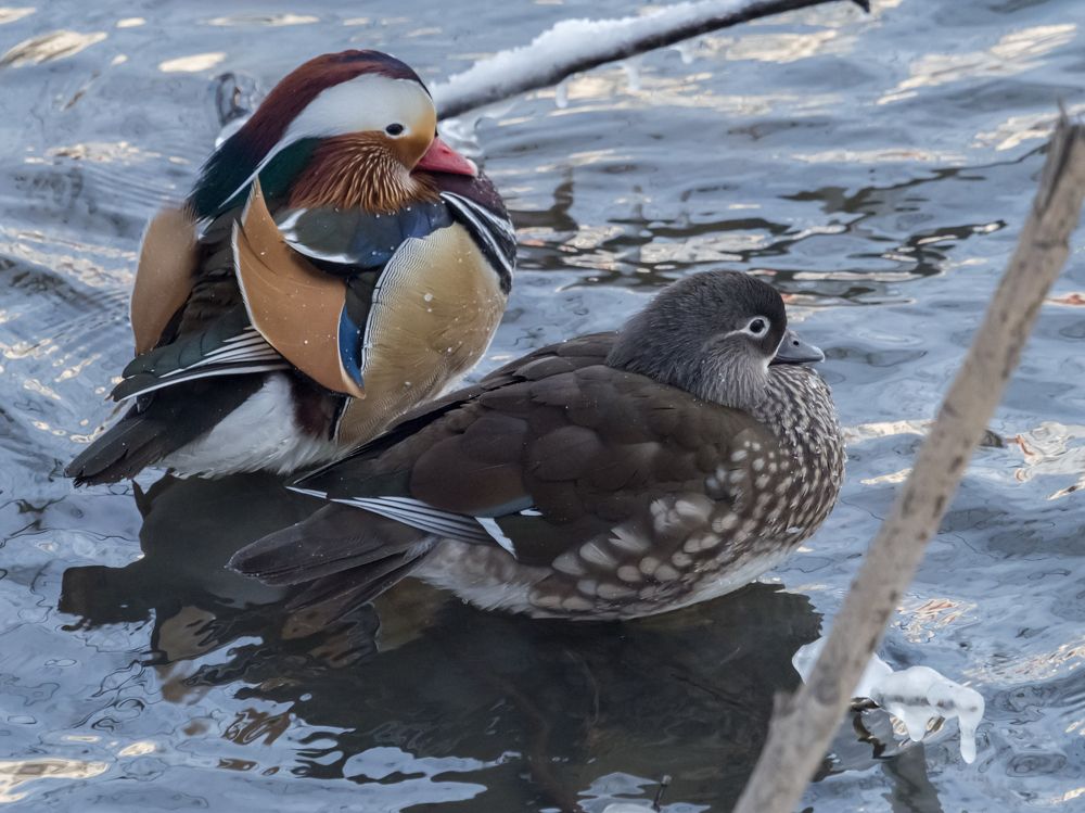 Photograph by Yury Fokin