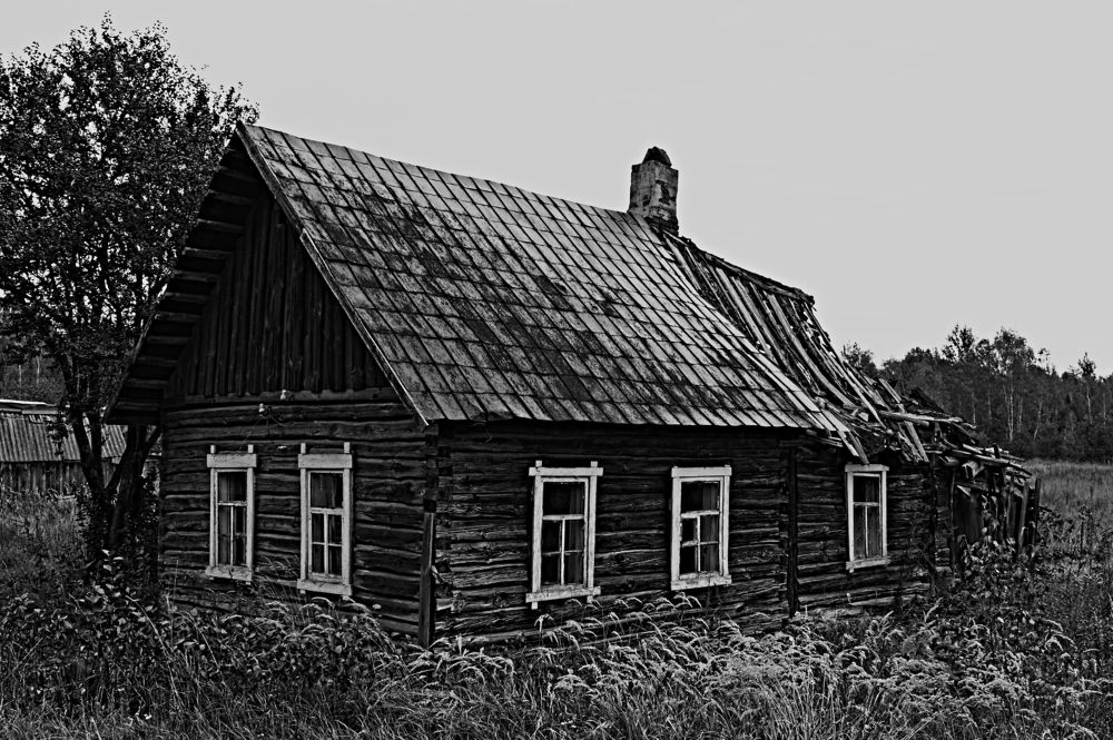 Photograph by Евгений Козлов