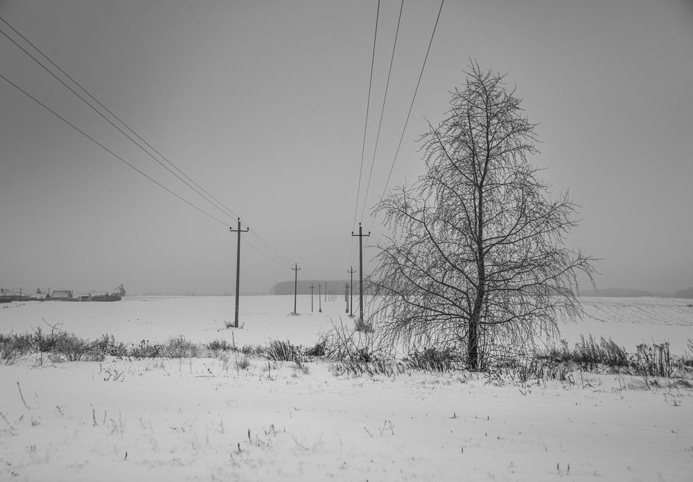 Photograph by Sergej