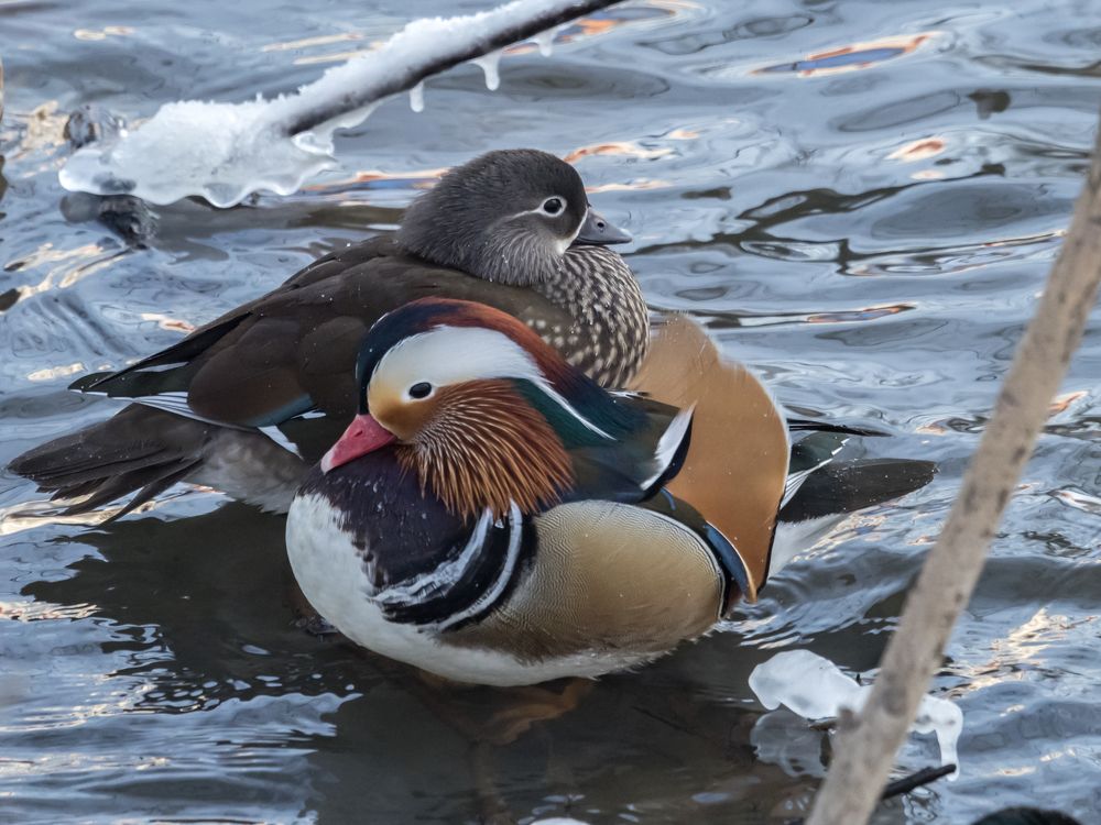 Photograph by Yury Fokin