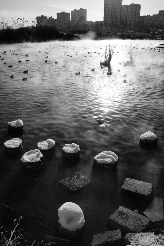 Photograph by Пиленгас Александр