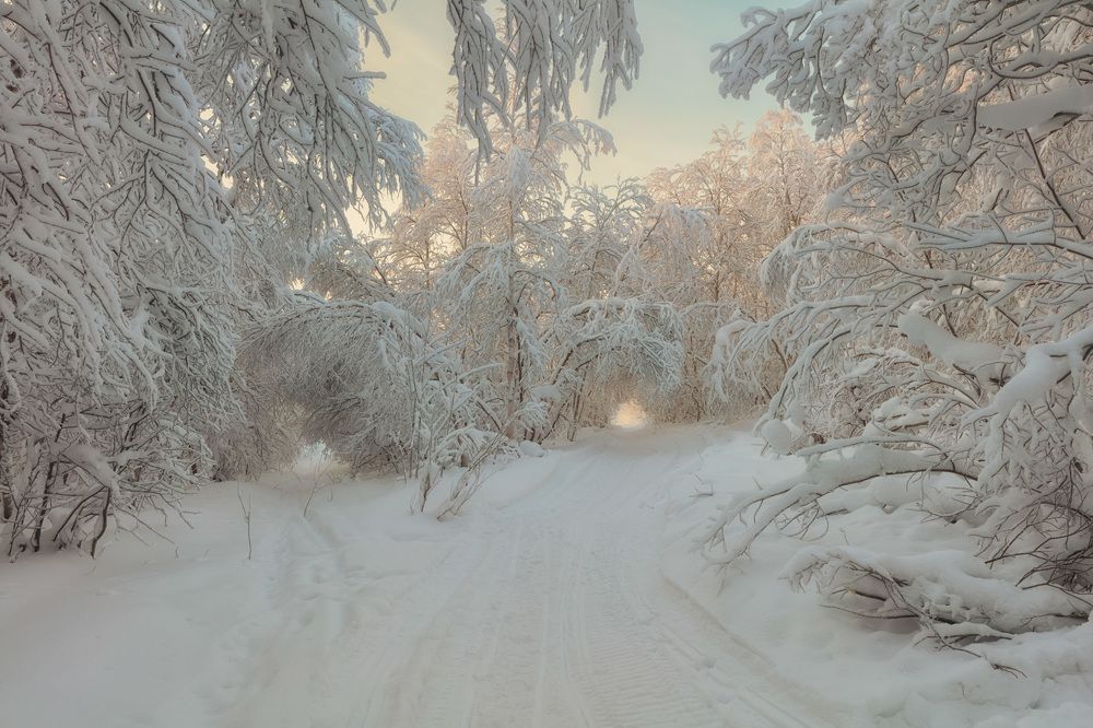 Photograph by Александр Ворошилов