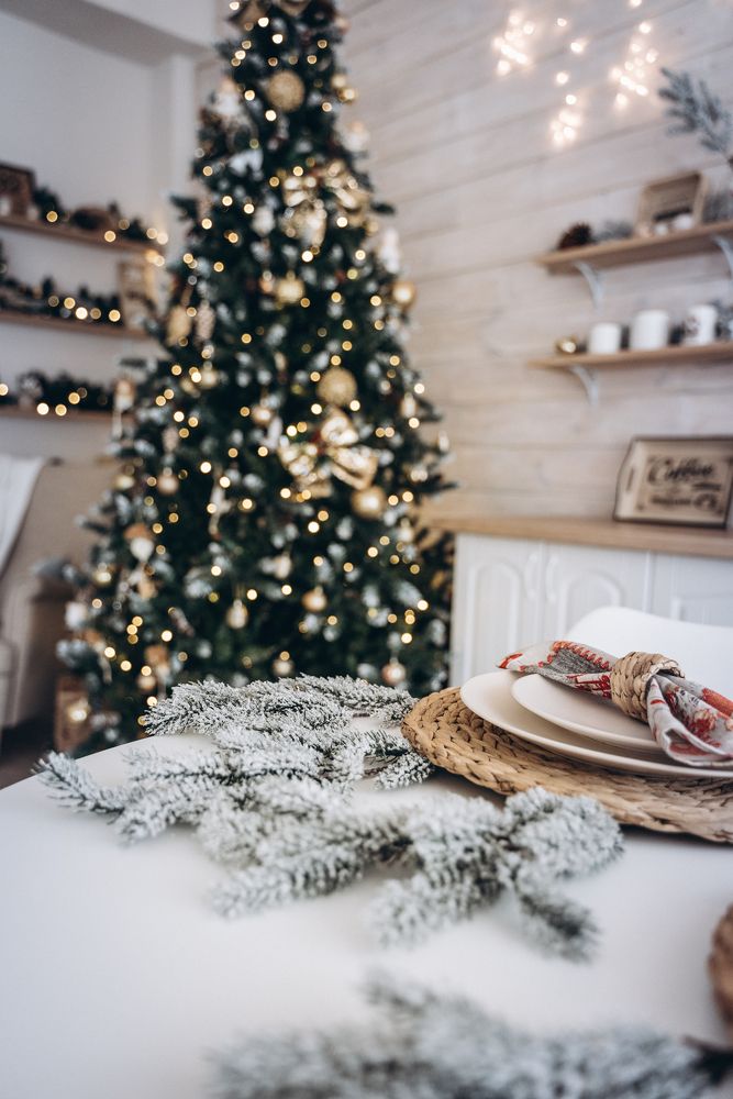 Фотография автора Дарья Дреко