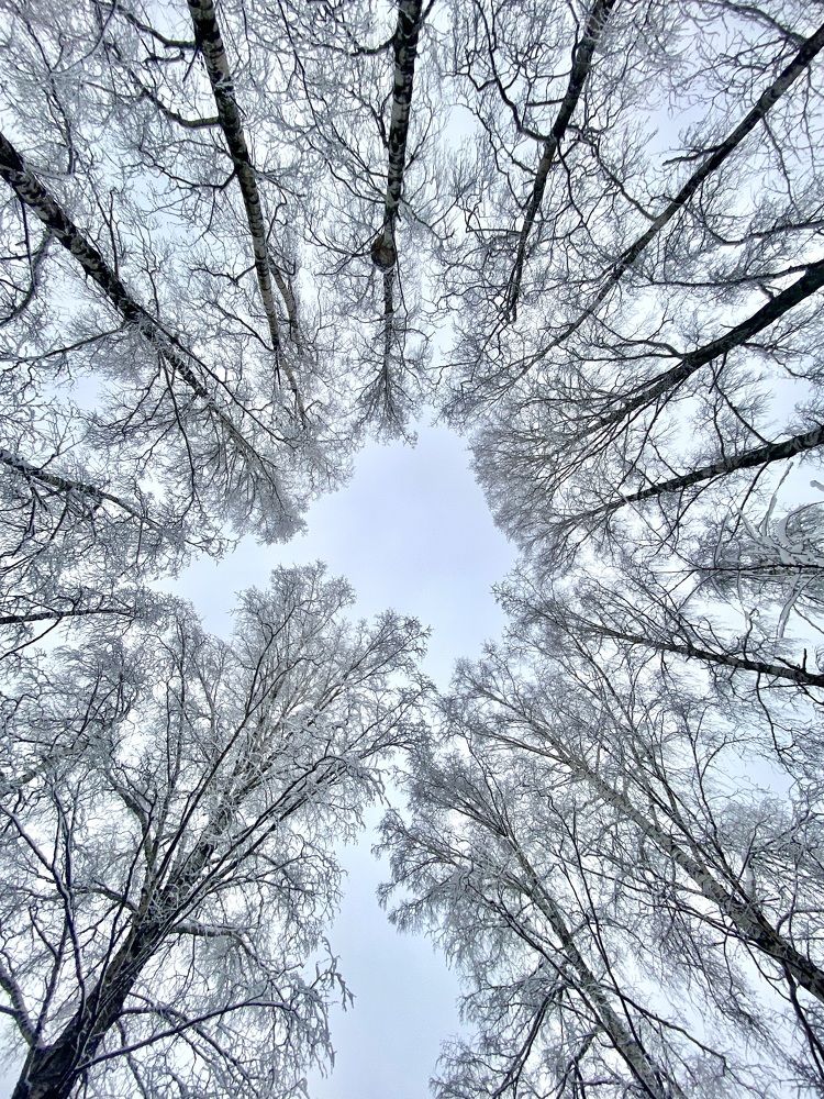 Photograph by Иованна Решетова