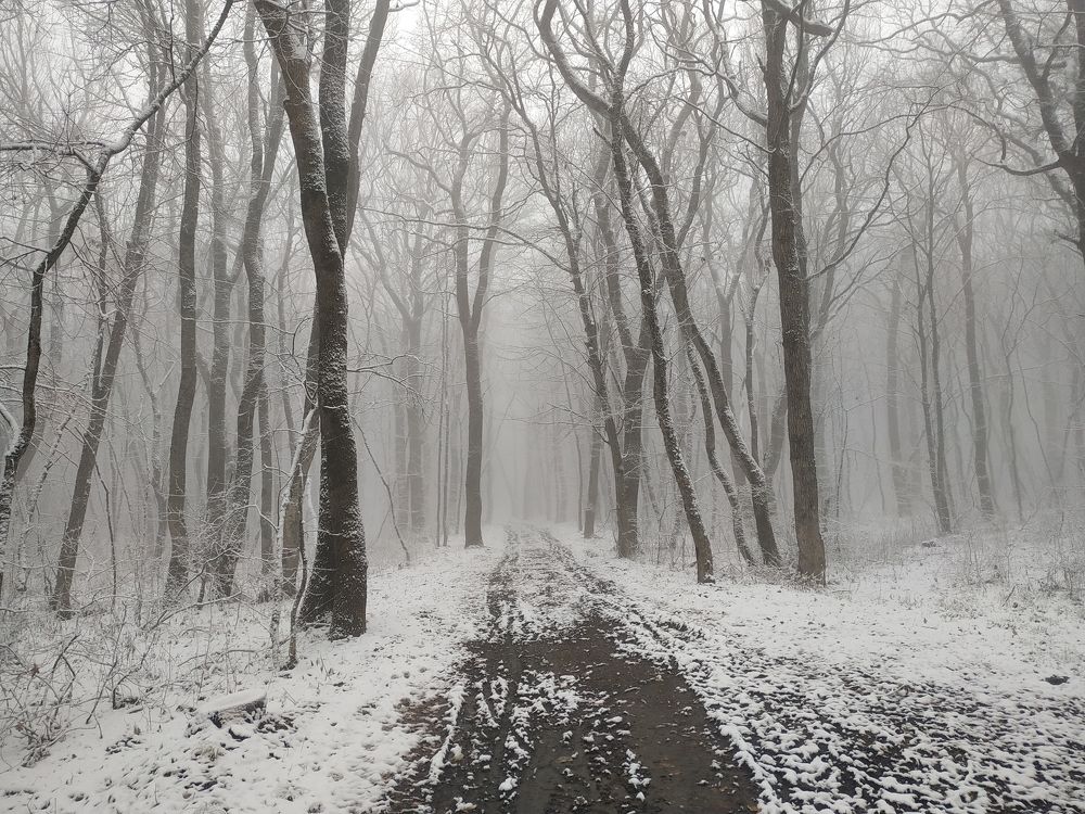 Photograph by Виталий Маслов