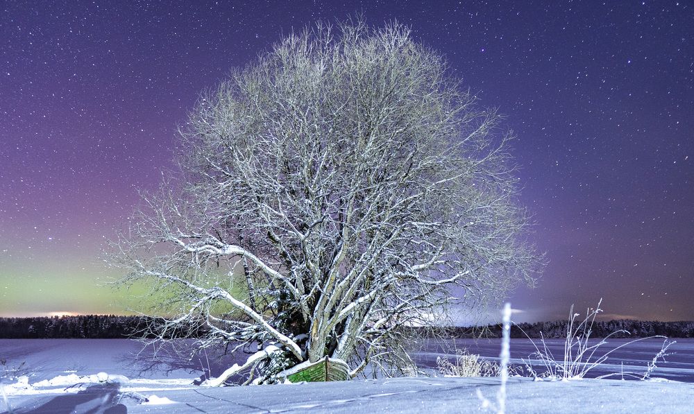 Photograph by Сергей