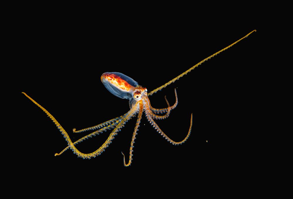 Photograph by Magali Marquez