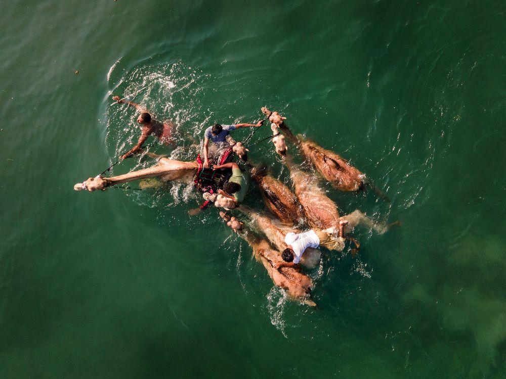 Traditional adventure