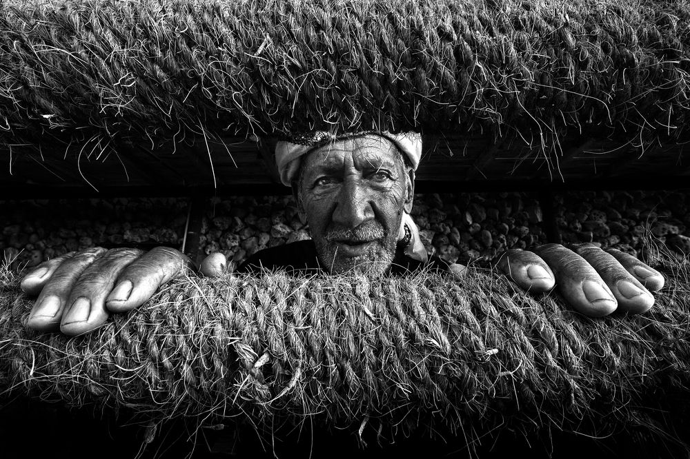 Photograph by Shyjith Onden Cheriyath