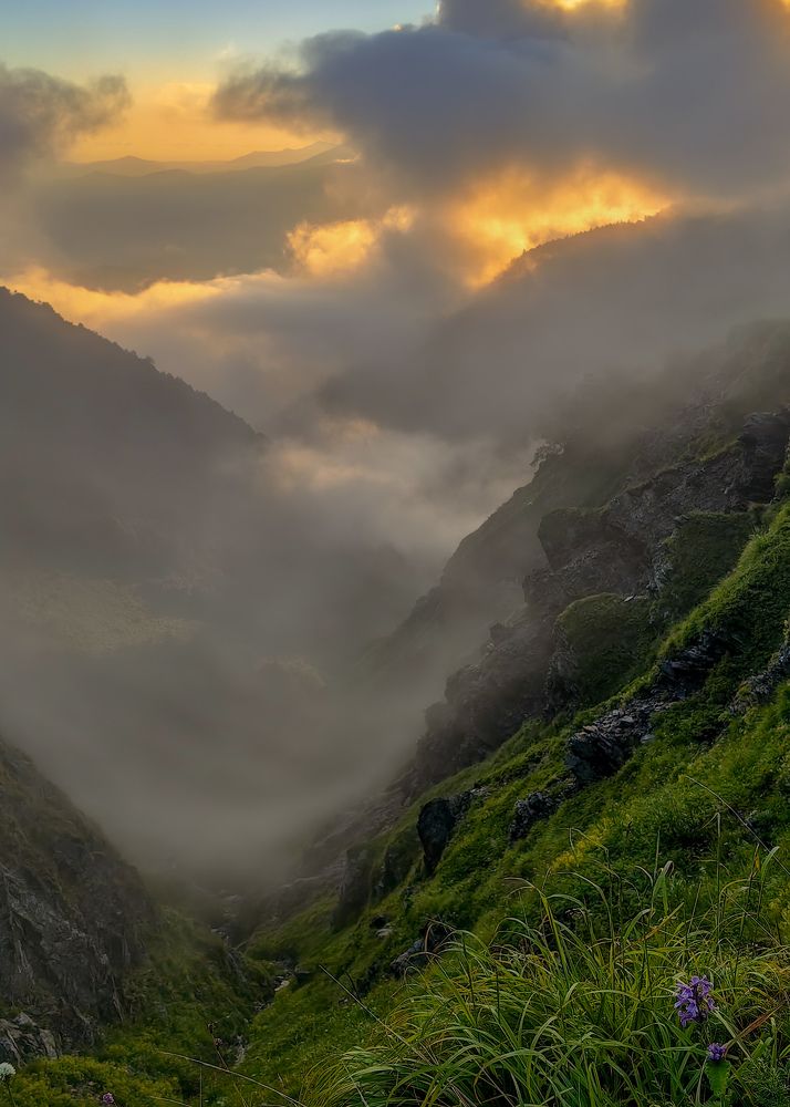 Photograph by Евгений Симион