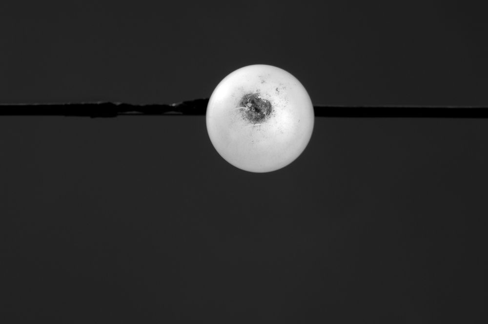 Photograph by Fabricio Bento