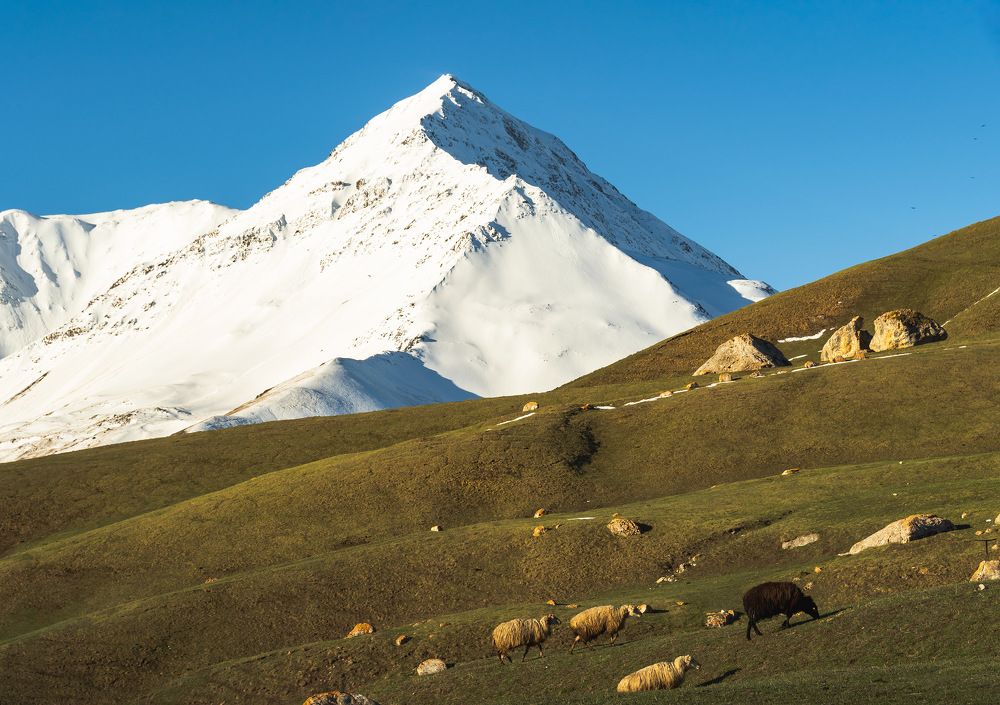 Photograph by Вячеслав Косенков