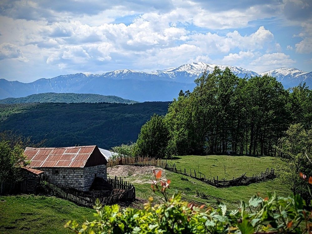 Фотография автора Ольга Костенко