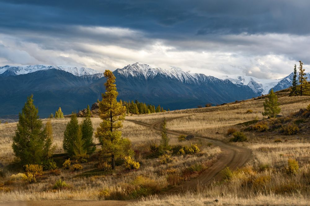 Фотография автора Мария Рохмистрова