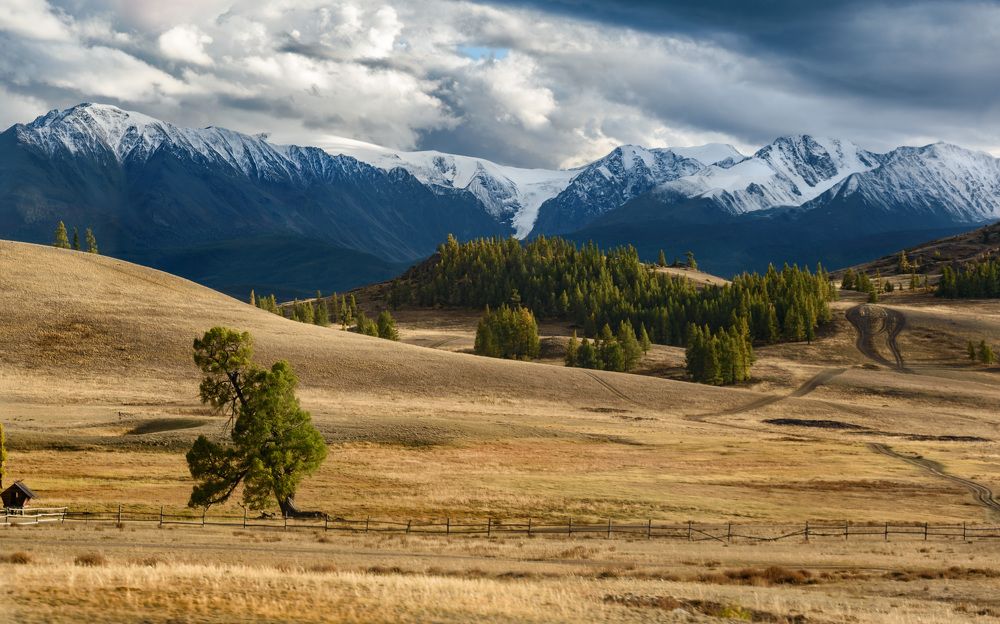 Фотография автора Мария Рохмистрова