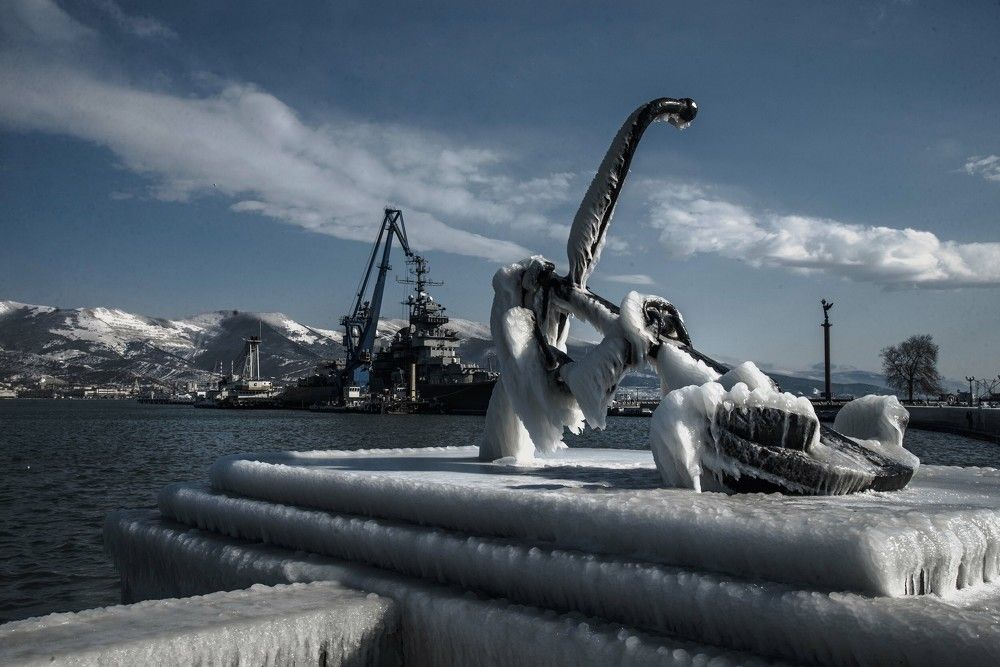 Фотография автора Мария Гомолко