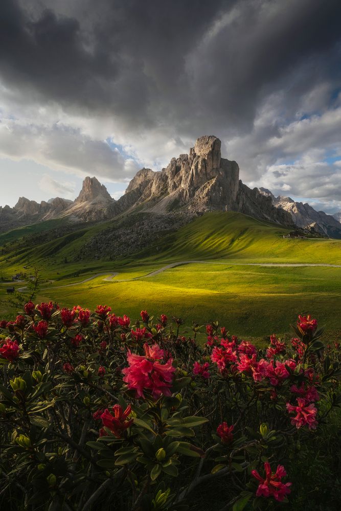 Summer vibes in the Dolomites