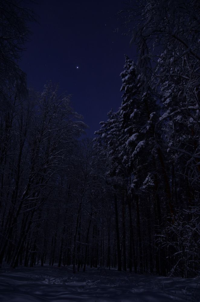 Фотография автора Вадим Писарев