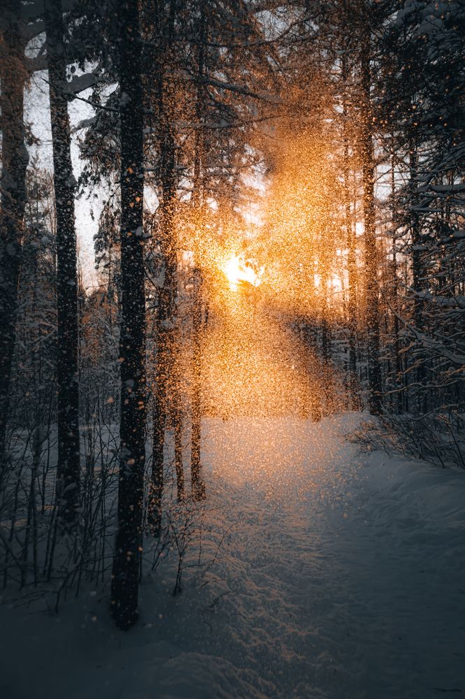 Снежные лучи