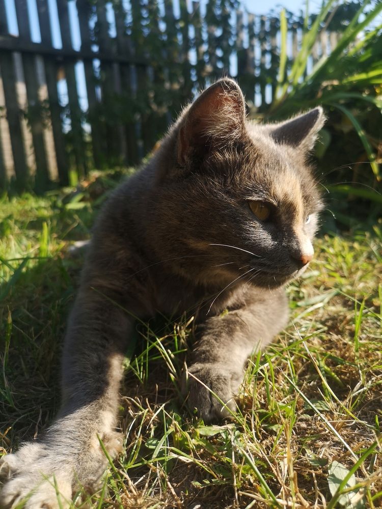 Photograph by Екатерина Борисовна Кузьмина