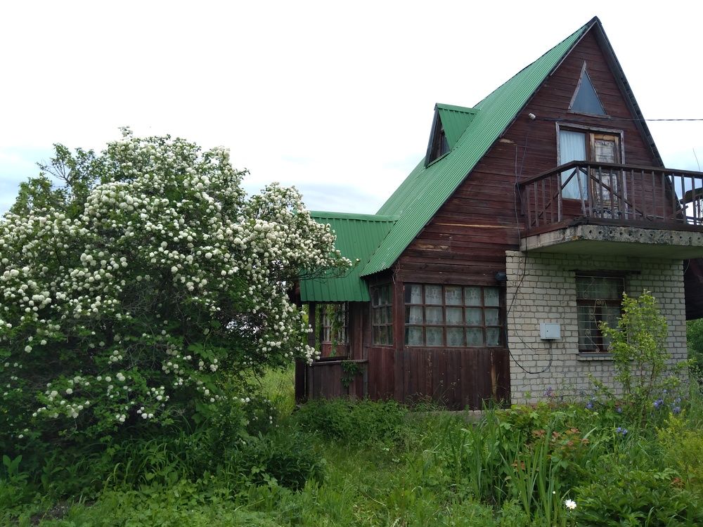 Деревенский пейзаж