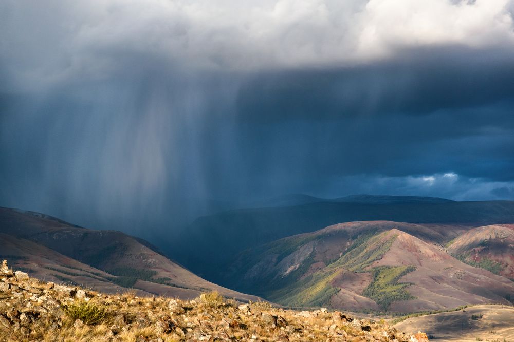 Фотография автора Мария Рохмистрова