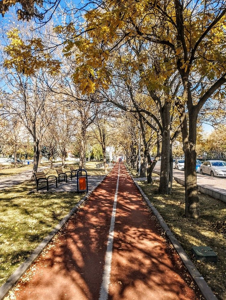 Фотография автора Wahib Ul Malik