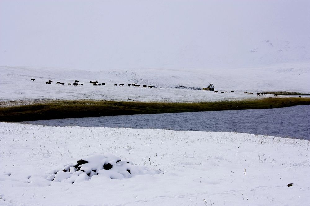 Photograph by Мария Самоловова