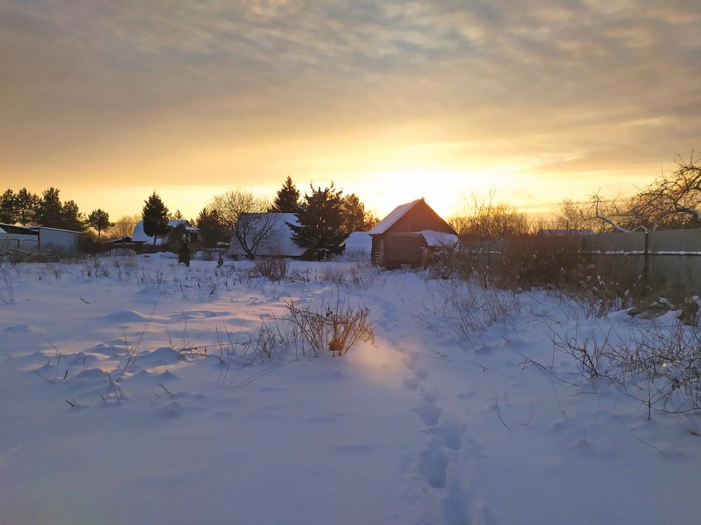 Photograph by Olga Kot