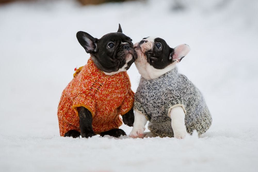 Первая прогулка