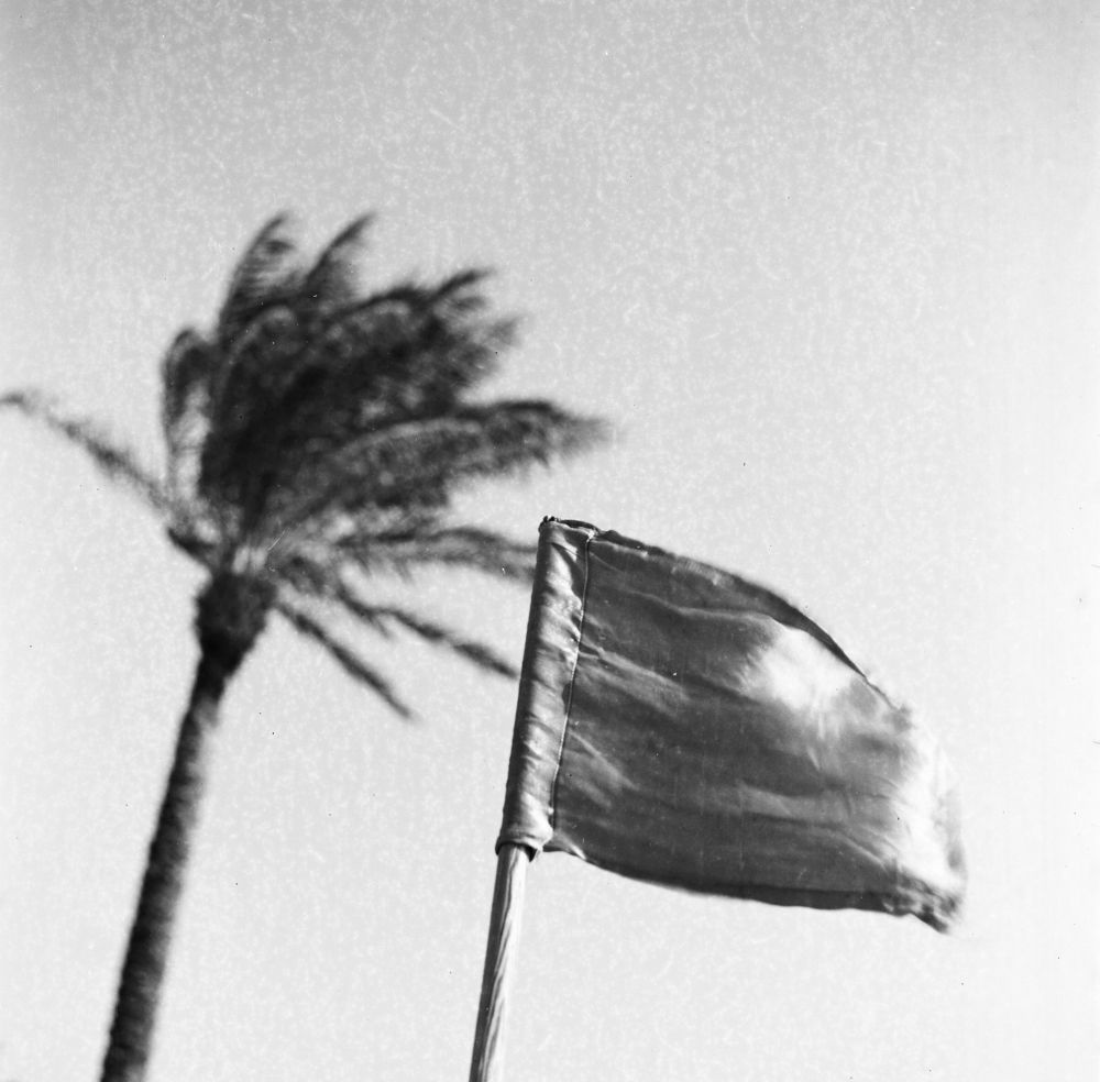 Photograph by Леонид Афанасьев