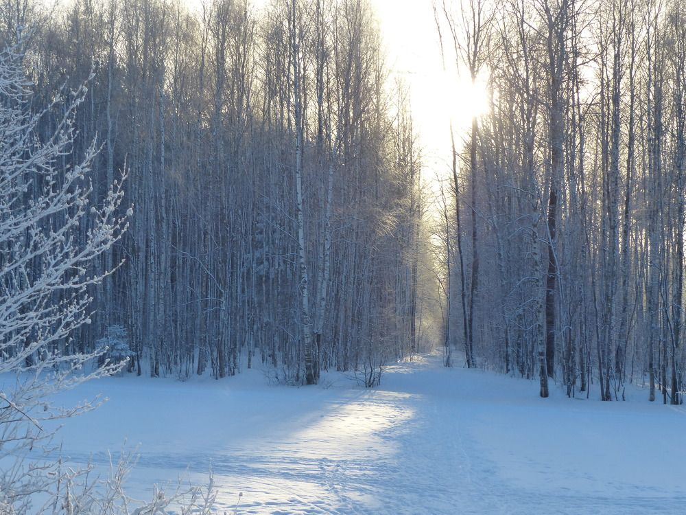 Photograph by Георгий Салюков