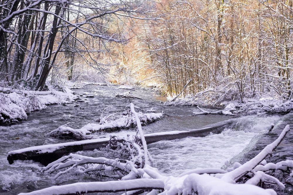 Photograph by Колев Христо