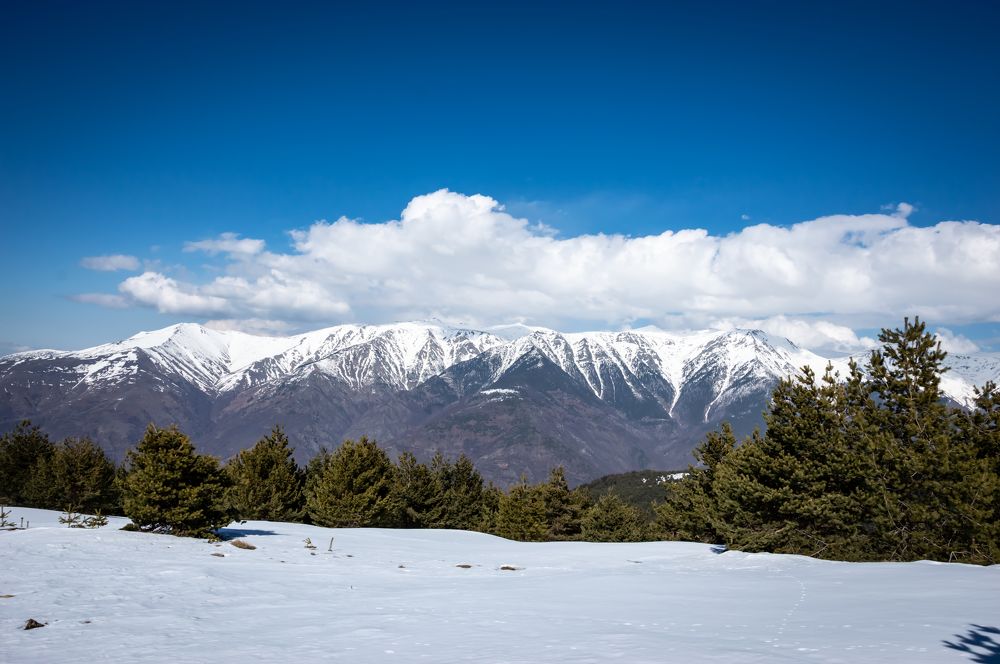 Photograph by Колев Христо