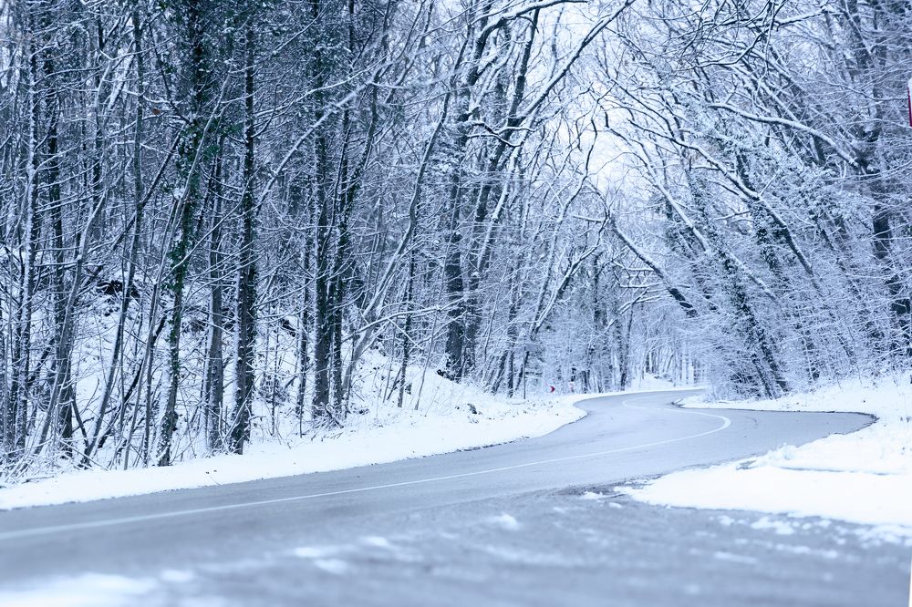 Photograph by Георги Иванов