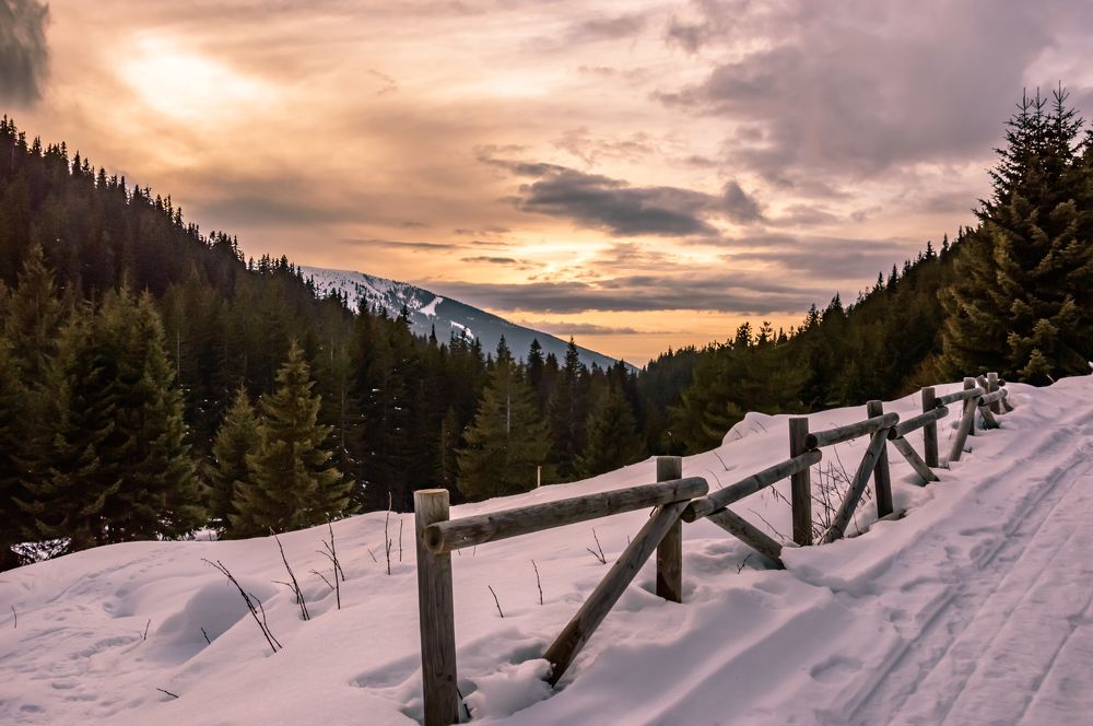 Photograph by Колев Христо