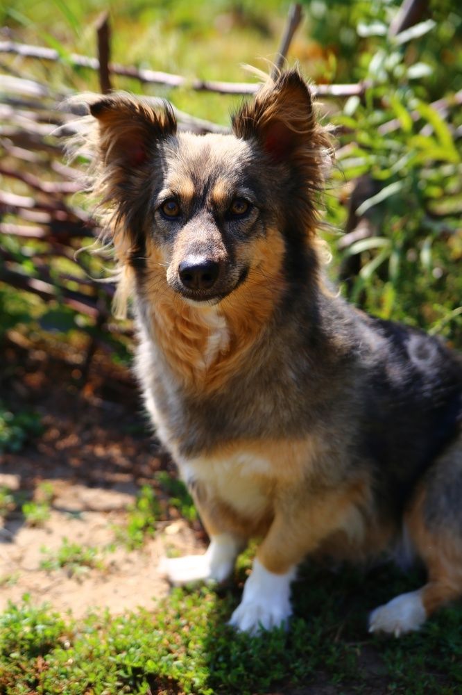 Фотография автора ОЛЬГА БУЛЫЧЕВА